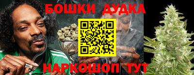 дурь Дубна