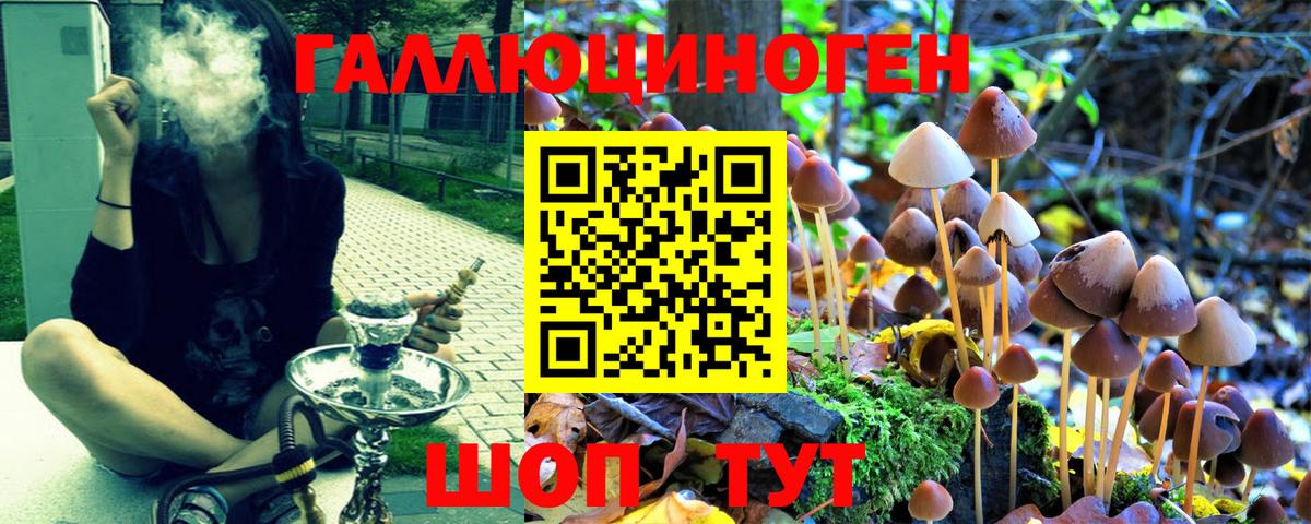 Галлюциногенные грибы Psilocybe  Вход с VPN  Лянтор 
