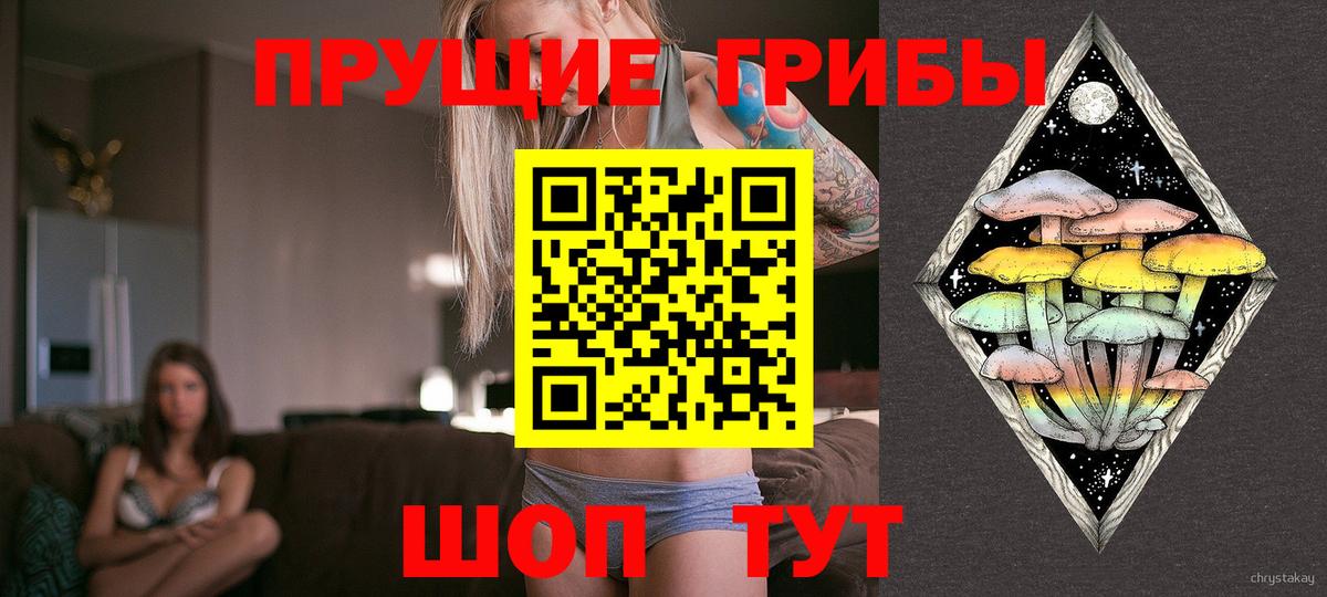 Галлюциногенные грибы Psilocybe Лянтор
